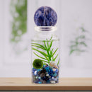 Moss Ball Pet Terrarium - The Alchemist's Collection