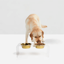 Medium Gold Feeder