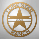 Custom Metal Wall Art - Personalized Star Sign