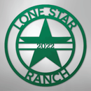 Custom Metal Wall Art - Personalized Star Sign