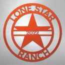 Custom Metal Wall Art - Personalized Star Sign