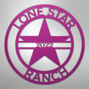 Custom Metal Wall Art - Personalized Star Sign