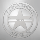 Custom Metal Wall Art - Personalized Star Sign