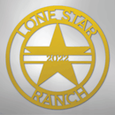 Custom Metal Wall Art - Personalized Star Sign