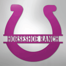 Custom Metal Wall Art - Personalized Horseshoe Sign