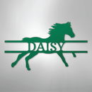 Custom Metal Wall Art - Personalized Sprinting Horse Sign