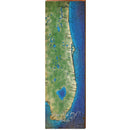 Eastern Florida Map Home Decor Art Print on Real Wood