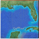 Gulf Coast Map Home Decor Art Print on Real Wood
