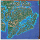 St. Phillips Island at Hunting Island State Park, SC | Wall Art Print on Real Wood