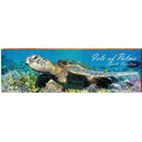 Isle of Palms Sea Turtle Swimming | Wall Art Print on Real Wood