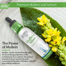 Buried Treasure Liquid Nutrients Mullein Drops with 200mg 10:1 Extract, Alcohol-Free Liquid Dietary Supplement