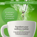Buried Treasure Liquid Nutrients Mullein Drops with 200mg 10:1 Extract, Alcohol-Free Liquid Dietary Supplement