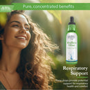 Buried Treasure Liquid Nutrients Mullein Drops with 200mg 10:1 Extract, Alcohol-Free Liquid Dietary Supplement