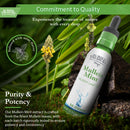 Buried Treasure Liquid Nutrients Mullein Drops with 200mg 10:1 Extract, Alcohol-Free Liquid Dietary Supplement