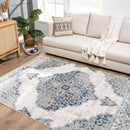 Amir Area Rug - Clearance