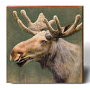 Majestic Moose Portrait | Wall Art Print on Real Wood