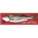 Lake Nottely Fish Red | Wall Art Print on Real Wood