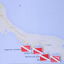 Dive Flag Map Pins