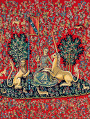 Can.Seul Lady with a Unicorn Printed Tapestry Canvas for Half Stitch by Margot de Paris MRC1432203