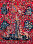 Can.Seul Lady with a Unicorn Printed Tapestry Canvas for Half Stitch by Margot de Paris MRC1432205