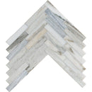 Citylight Honed 12 7/8"x8 9/16" Large Herringbone Marble Mosaic Product shoot mosaic view