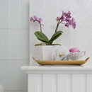 Ice white 14 13/16"x14 13/16" Multi Finish Ponte Basket Marble Mosaic