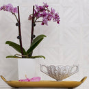 Ice white 14 13/16"x14 13/16" Multi Finish Ponte Basket Marble Mosaic