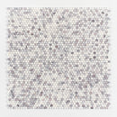 Pitoly Honed Penny Round 12"x12" Marble Mosaic wall view 2