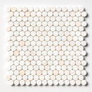 Confetti Honed Hexagon Penny Round Marble Mosaic