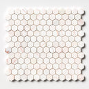 Confetti Honed Hexagon Penny Round Marble Mosaic