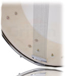 GRIFFIN Snare Drum - Poplar Wood Shell 14" x 5.5" with Black PVC & Coated Head - Acoustic Marching Percussion Musical Instrument Set with Drummers Key