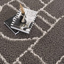 Andia Charcoal Area Rug - Clearance