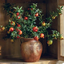 Big Fruit Faux Pomegranate Stem 32" Tall