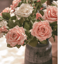 Rolled Edge American Rose Stem 18" Tall