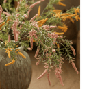 Artificial Large Rosemary Stem 49" Tall