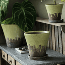 Weathered Heritage Flower Pot with Saucer