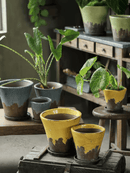 Weathered Heritage Flower Pot with Saucer