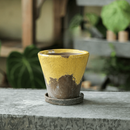 Weathered Heritage Flower Pot with Saucer