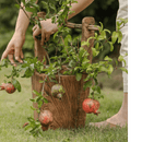 Old-fashioned Wooden Round Bucket