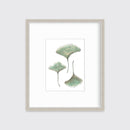 Maidenhair - Open Edition Paper Print