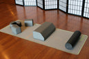 Kacelia Tru Align Body System - Spinal Alignment & Back Pain Relief