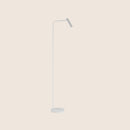 Mairis Floor Lamp