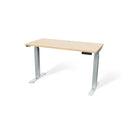 Atlas 48" Motorized Height Adjustable Standing Desk