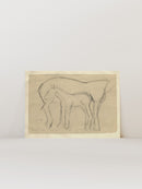 Mare and Foal