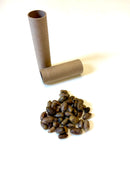 Spring Mason Bees