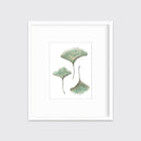 Maidenhair - Open Edition Paper Print