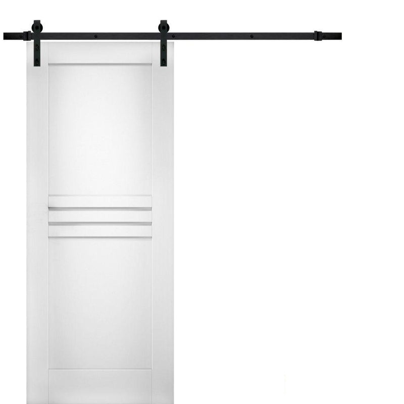 Mela 7444 White Silk Barn Door and Black Rail