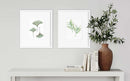 Maidenhair - Open Edition Paper Print