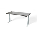 Atlas 66" Sit Stand Office Desk