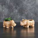 Mini Rhino Ceramic Planter | Wild Safari Hippo Shaped Succulents Flower Pot | 4.5" x 2"